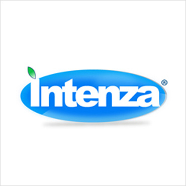 Creative IT and Technology Logo Design Concept- Intenza