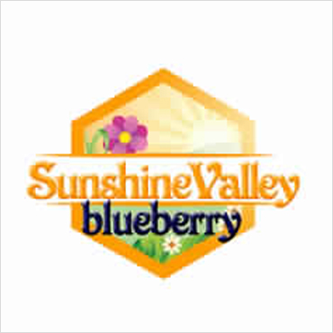 Brilliant Sunshine Valley Logo for inspiration