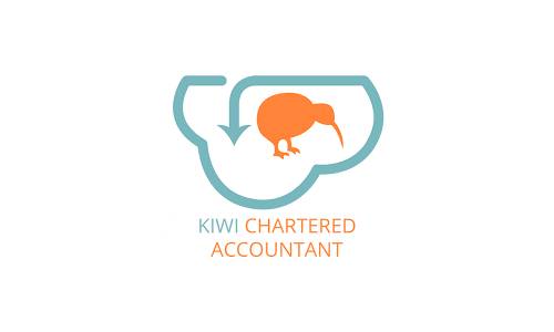 amazing kiwi logo design