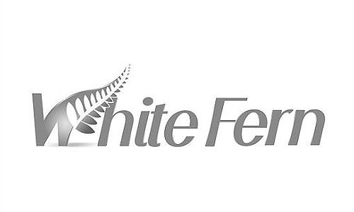best silver fern logo